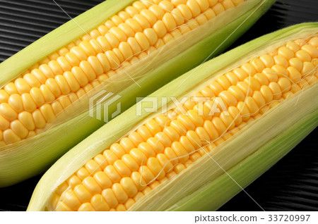 Corn 33720997
