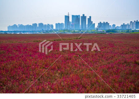 Chilgumcho，Eco Metro，Sorae Bridge，Nonhyeon，Namdong-gu，Incheon 33721405