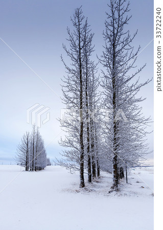 Iceland Iceland 33722240