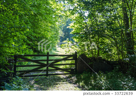 Old wooden gate in a lush greenery Old wooden gate in a lush greenery 33722639
