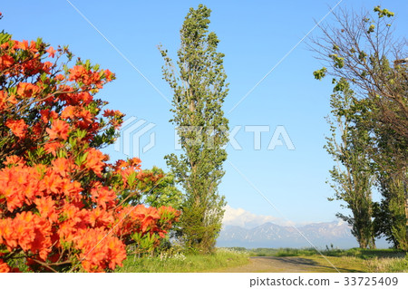 Scenery of Biei 33725409