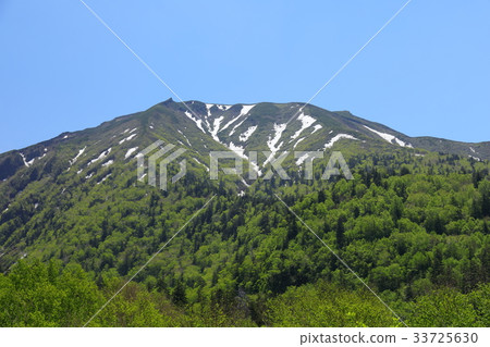 美瑛的風景 美瑛的風景 33725630