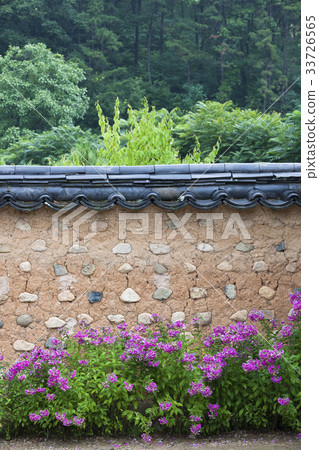 Phlox, Tottam, Nampyeongmun Bongrisa, Dalseong, Daegu 33726565