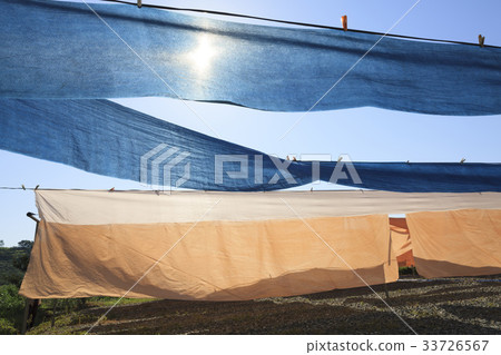 Dyeing, Qingdao, Gyeongbuk 33726567