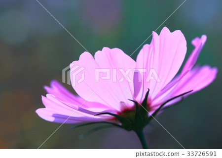 宇宙 宇宙 33726591