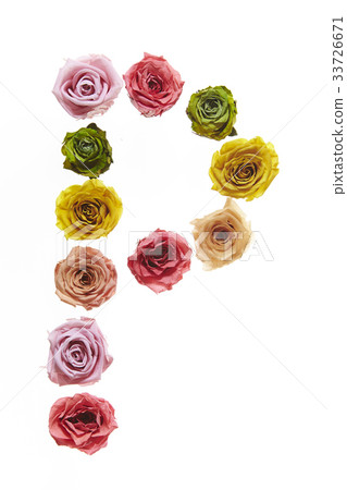 Flower letter P Flower letter P 33726671