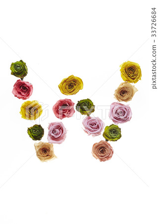 Flower letter W Flower letter W 33726684