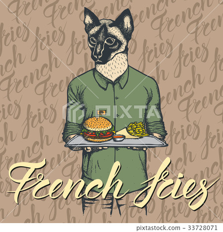 Vector Illustration of cat with burger Vector Illustration of cat with burger 33728071