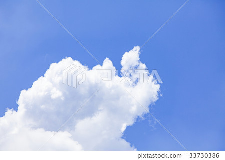 看起來像鴕鳥回顧的雲 33730386