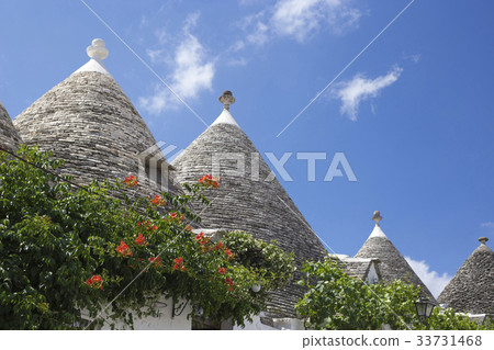 特魯利阿爾貝羅貝洛 特魯利阿爾貝羅貝洛 33731468