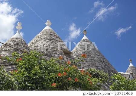 阿爾貝羅貝洛 33731469