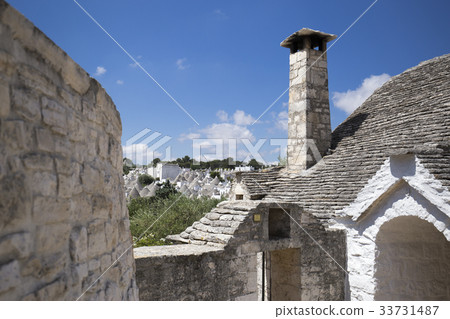 阿爾貝羅貝洛 33731487