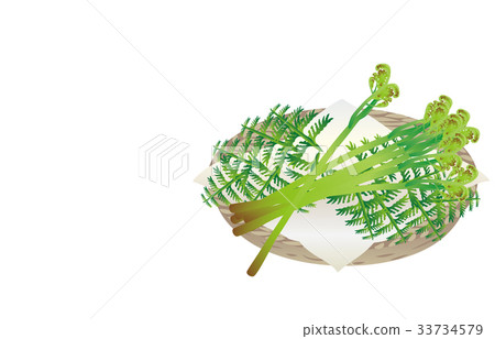 Spring tradition bracken 33734579
