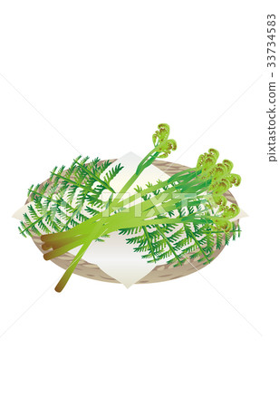 Spring tradition bracken Spring tradition bracken 33734583