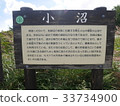 Konuma information stand signboard 33734900