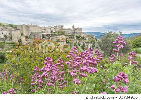 戈多和粉紅色的花朵 33734916