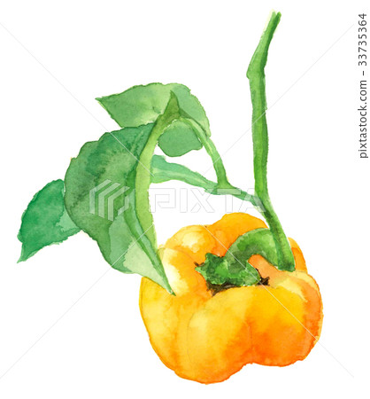 黃色辣椒粉 33735364