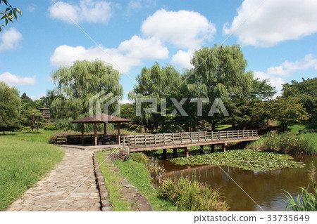 Hasuda City Nishijonuma公園在夏天 33735649