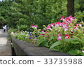 Colorful flowers 33735988