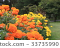 Colorful flowers 33735990