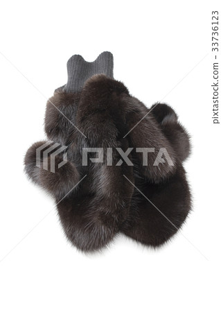 gloves on the white background gloves on the white background 33736123