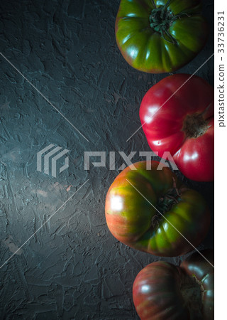 Multicolored tomatoes on a gray background line on 33736231