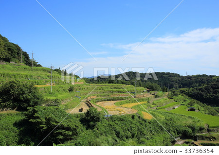 Rice terraces in the Ogata district of Yamaguchi Rice terraces in the Ogata district of Yamaguchi 33736354