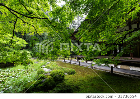 Nanzen-ji-Nanzen-in 33736554