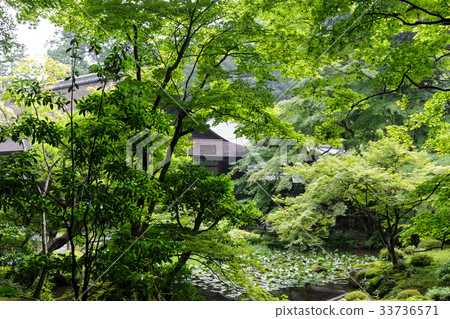 Nanzen-ji-Nanzen-in 33736571