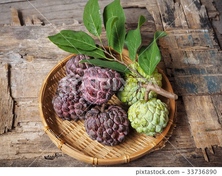 Sugar apple 33736890
