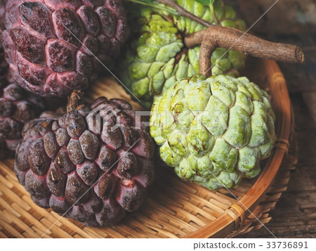 Sugar apple 33736891