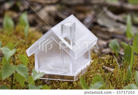 Crystal house over moss  33737203