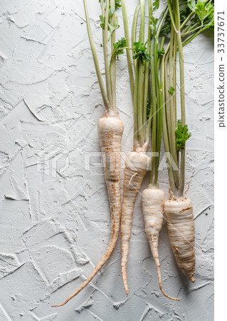 Fresh parsley with root leaf on white background Fresh parsley with root leaf on white background 33737671
