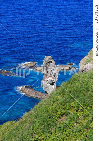 Shakotan Blue and Tateiwa without water 33738518