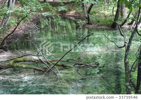 克羅地亞十六湖國家公園 克羅地亞十六湖國家公園 33739546