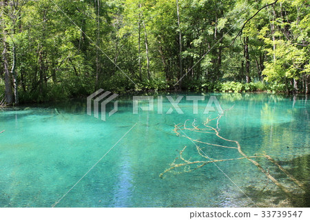 克羅地亞十六湖國家公園 克羅地亞十六湖國家公園 33739547