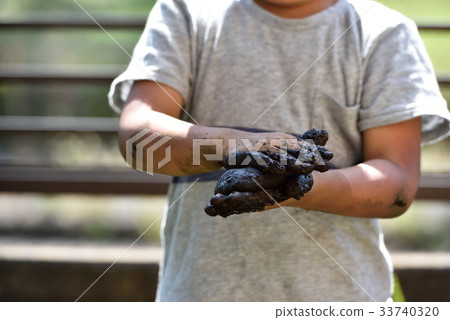 Playing with muddy Playing with muddy 33740320