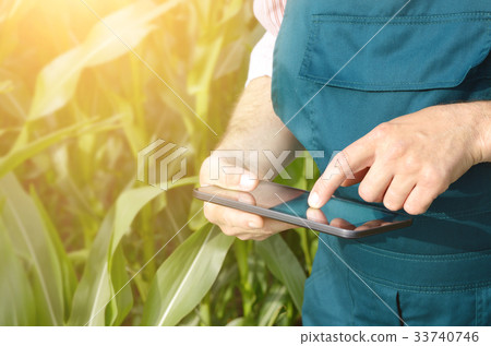 Farmer with tablet inspecting corn field Farmer with tablet inspecting corn field 33740746