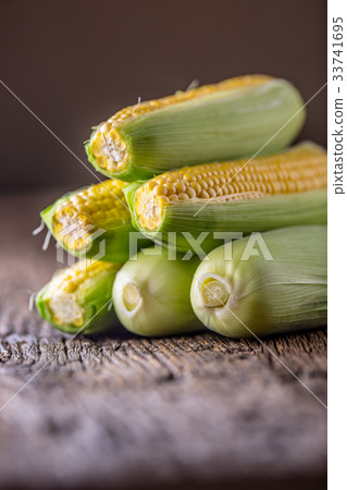 Corn. Fresh corn on old rustic oak table. Corn. Fresh corn on old rustic oak table. 33741695