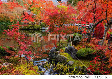 Eikan-do garden with red fall colors, Kyoto 33741978