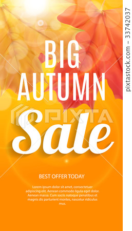 Shiny Autumn Leaves Sale Banner. Business Discount 33742037