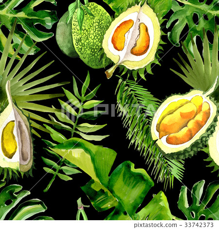 Tropical Hawaii leaves palm tree and durian 33742373