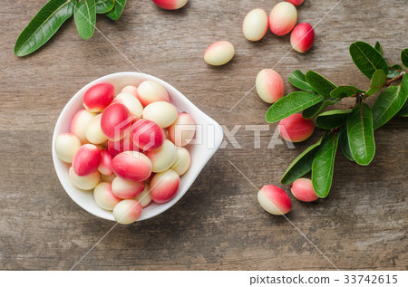 Bengal Currants, Carandas-plum, Carissa carandas 33742615