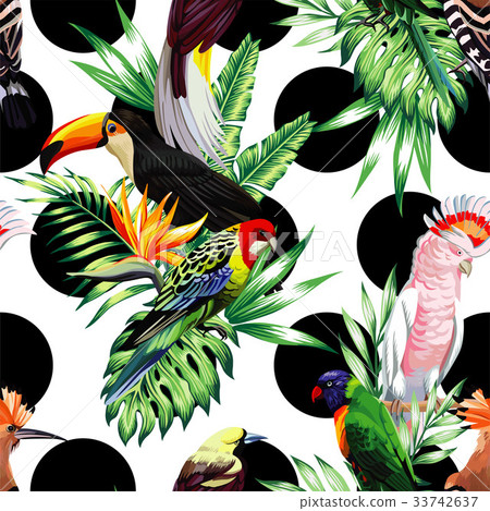 tropical birds and palm leaves pattern 33742637