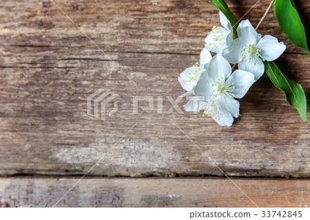 Jasmine on a wooden table Jasmine on a wooden table 33742845