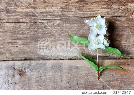 Jasmine on a wooden surface Jasmine on a wooden surface 33742847