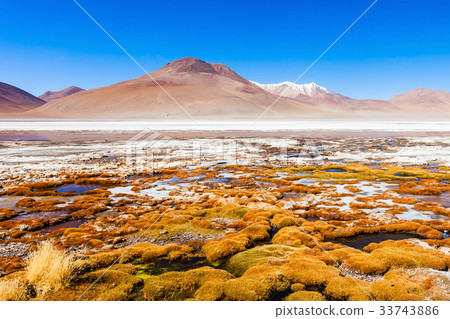 Lake, Bolivia Altiplano 33743886