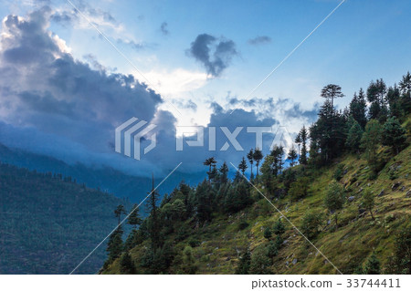 Beautiful forest, Manali 33744411