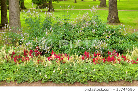 Flower bed background. 33744590