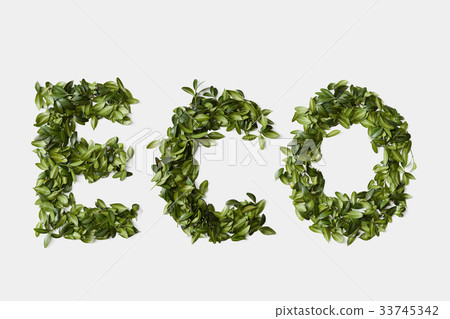 Ecology symbol from leaves isolated on white Ecology symbol from leaves isolated on white 33745342